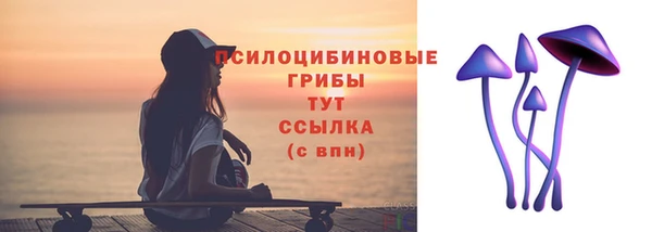 гидра Горнозаводск