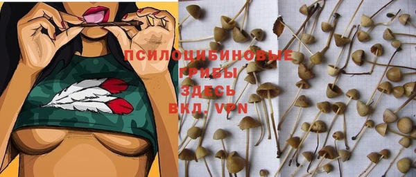 мескалин Алексеевка